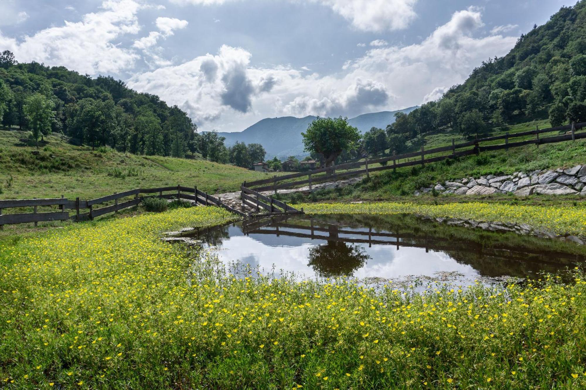 The River Nest Lasnigo Exterior photo